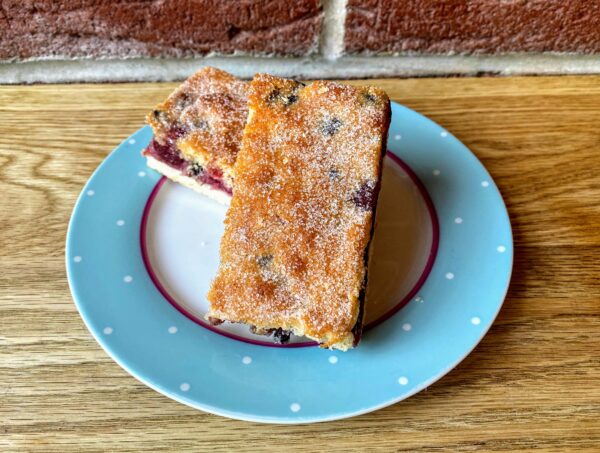 Fruit Sponge Slice x2
